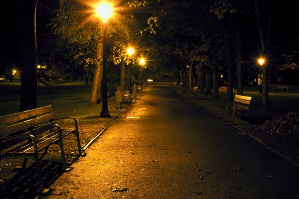 Parc dans le banc de nuit