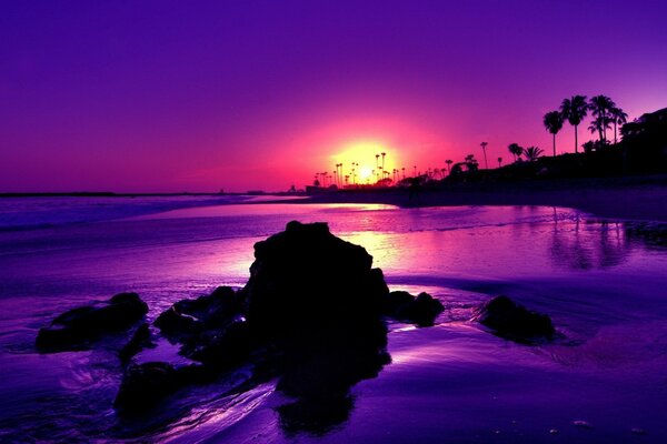 Puesta de sol y paisaje en púrpura con palmeras y mar