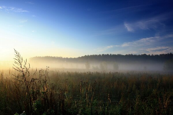 Niebla en el campo contra el cielo azul