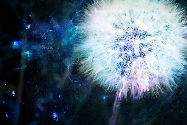 A shimmering dandelion on a blue background