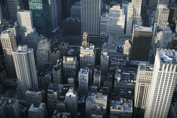 Skyscrapers of New York photo from above in daylight