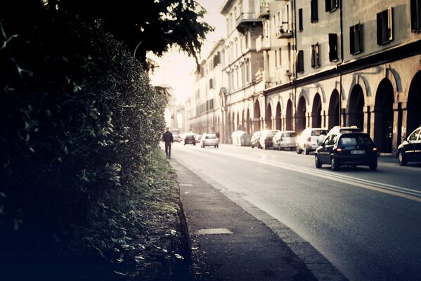 Strada soleggiata lungo le case