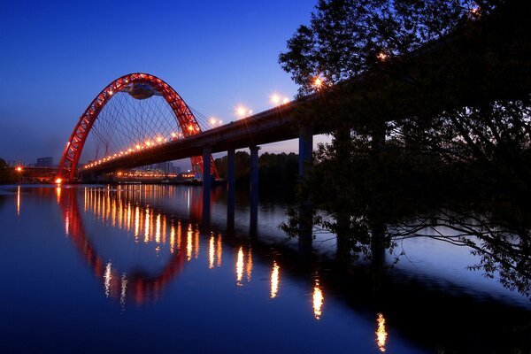 Las luces de la ciudad se reflejan en la voluntad