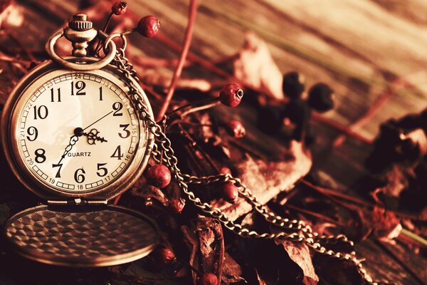 Pocket watch on a gold chain in dried flower