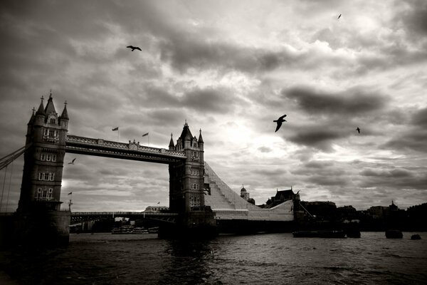 Wielka Brytania, Londyn. Tower Bridge na Tamizie, zachmurzone niebo z chmurami i ptakami