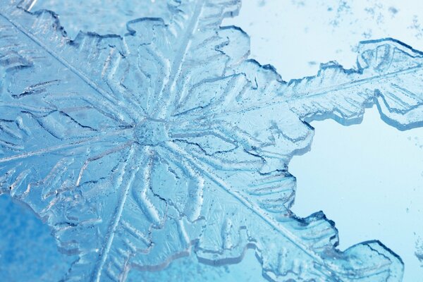 Il n y a pas deux flocons de neige identiques dans le monde