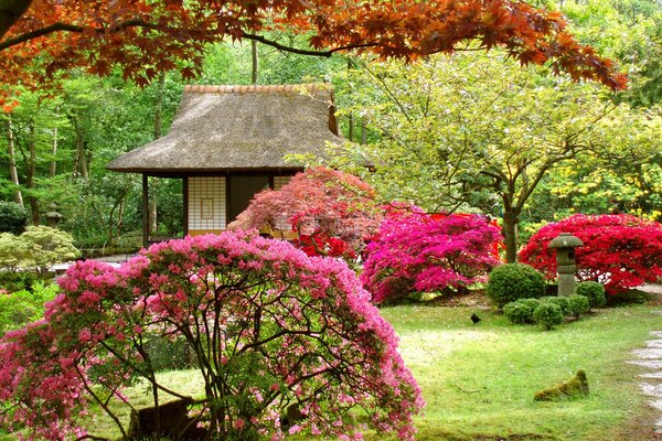 Japanese garden with a house and flowering trees