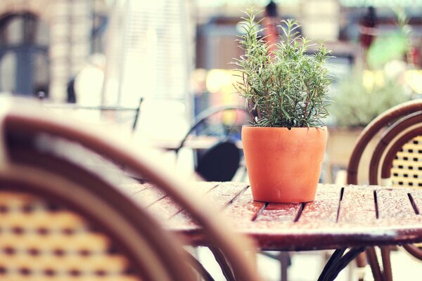 Table dans un café de rue après la pluie