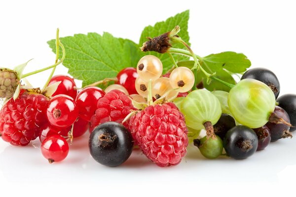 Summer berries, gooseberries, currants, raspberries