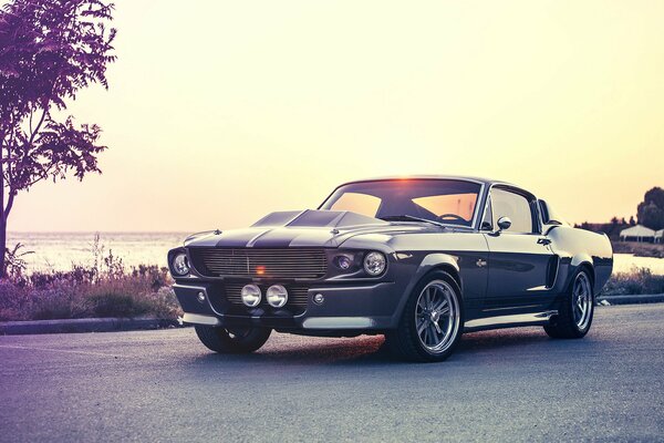 Ford Mustang in all its glory