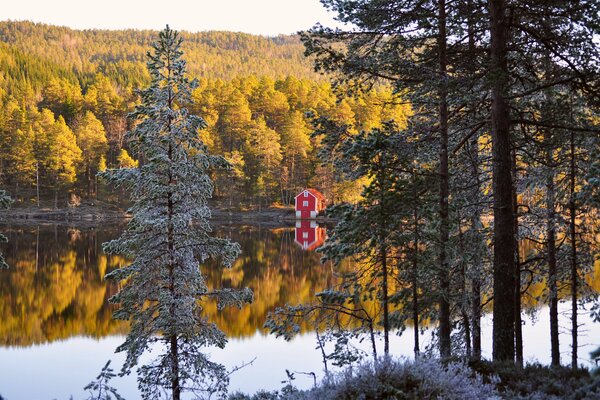 Schönheit von Herbstnorwegen