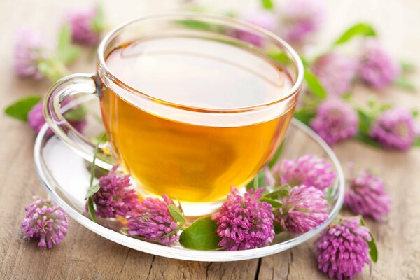 Taza de té en platillo con flores de trébol