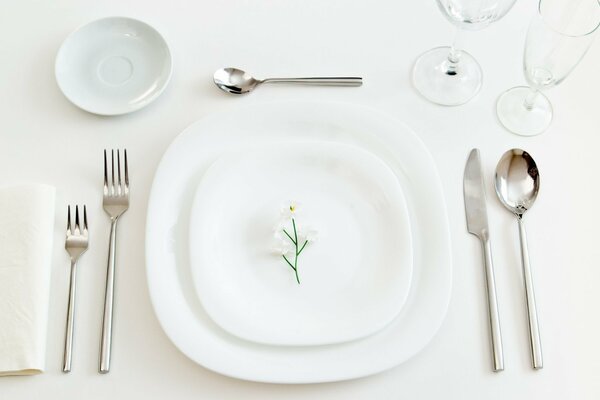 Fleur sur une plaque blanche sur une table blanche avec des appareils