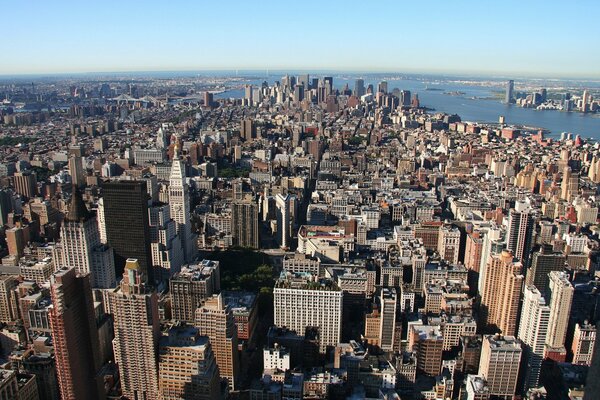 Skyscrapers, wings, birds, a huge city