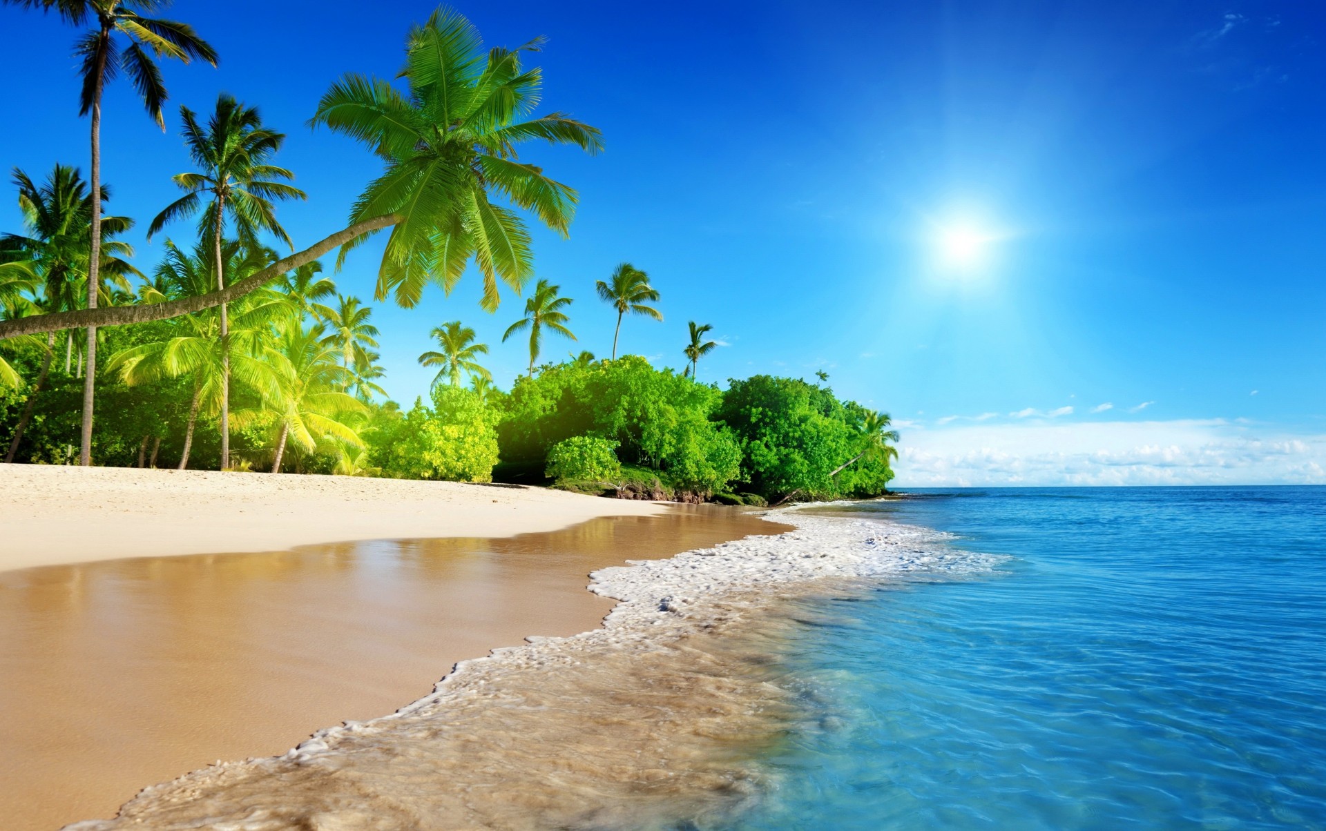 cielo tropicale spiaggia natura estate tropici sole costa estate oceano australia