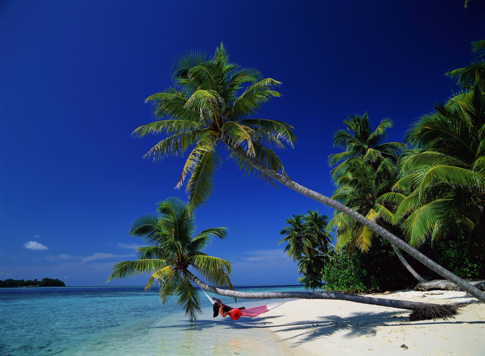 baie bounty palmiers mer détente hamac