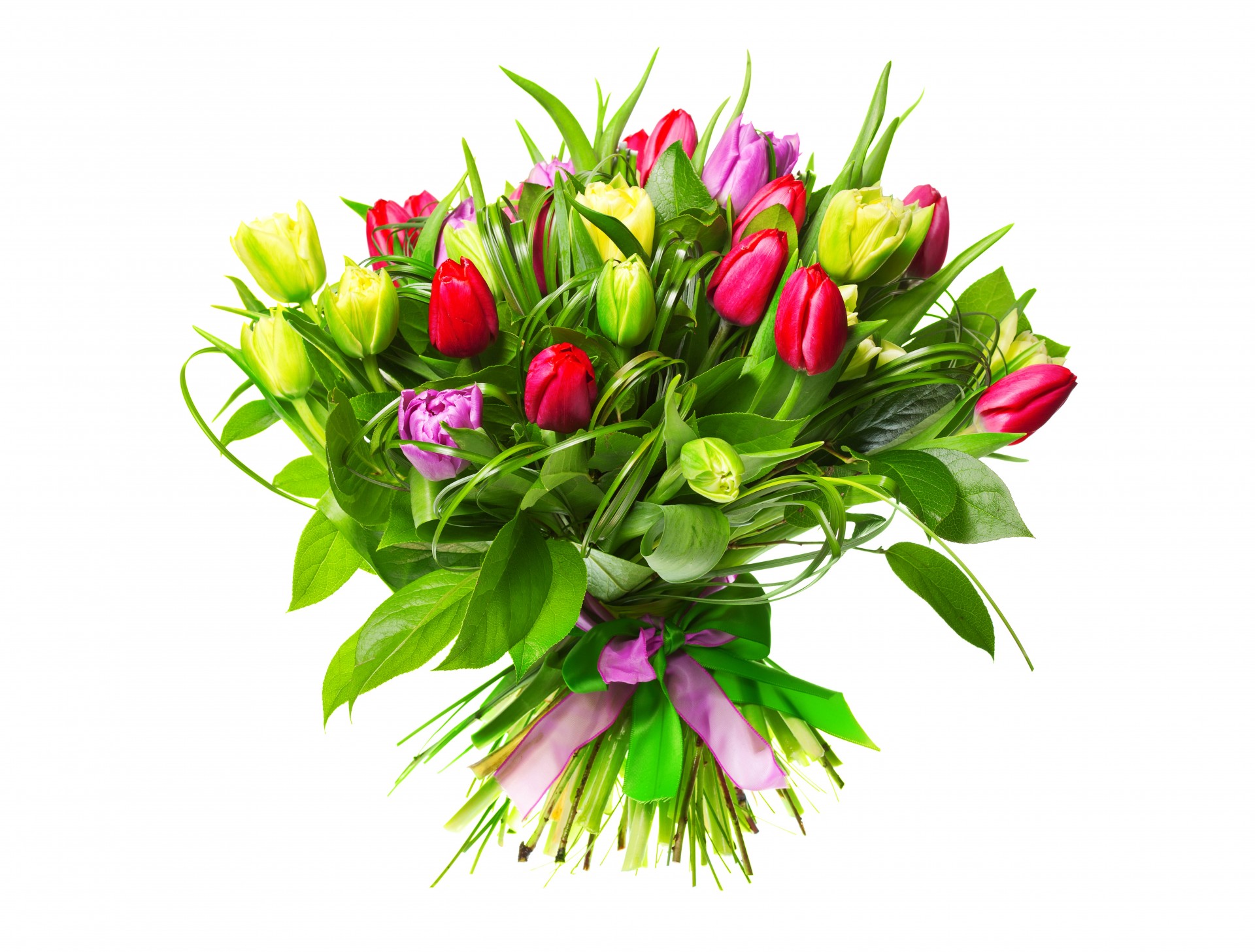 bouquet ruban bourgeons fleurs tulipes