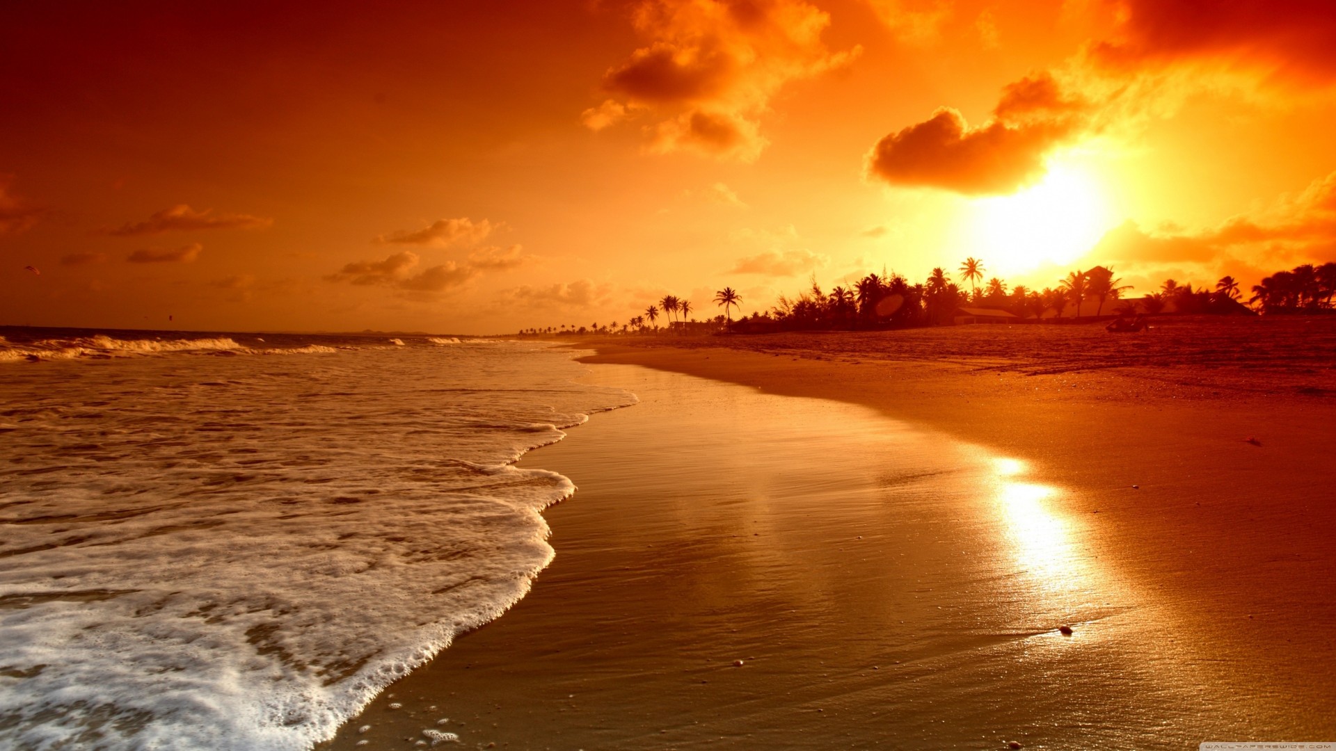 mare spiaggia oceano tramonto