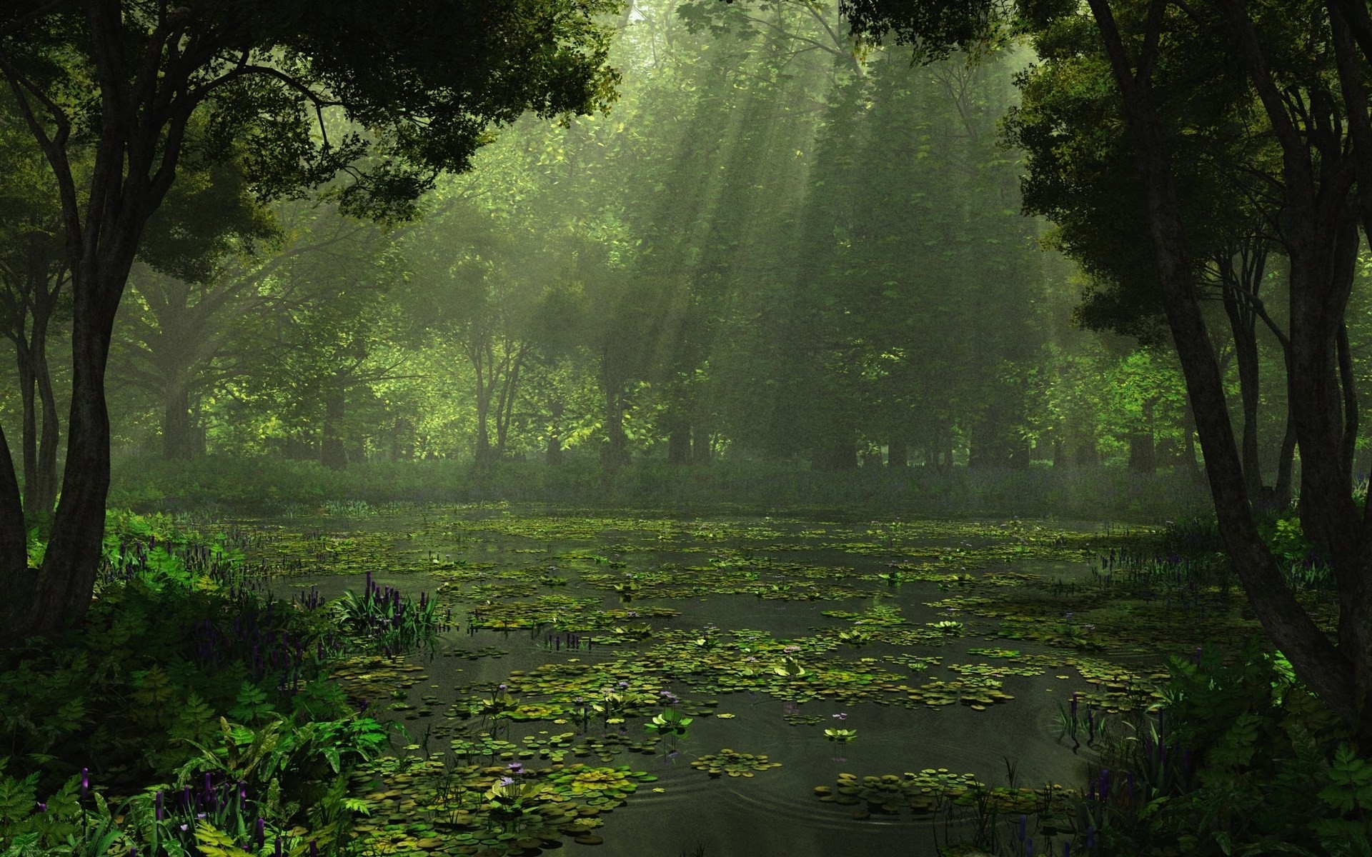 reflection green forest tree light rays summer lake