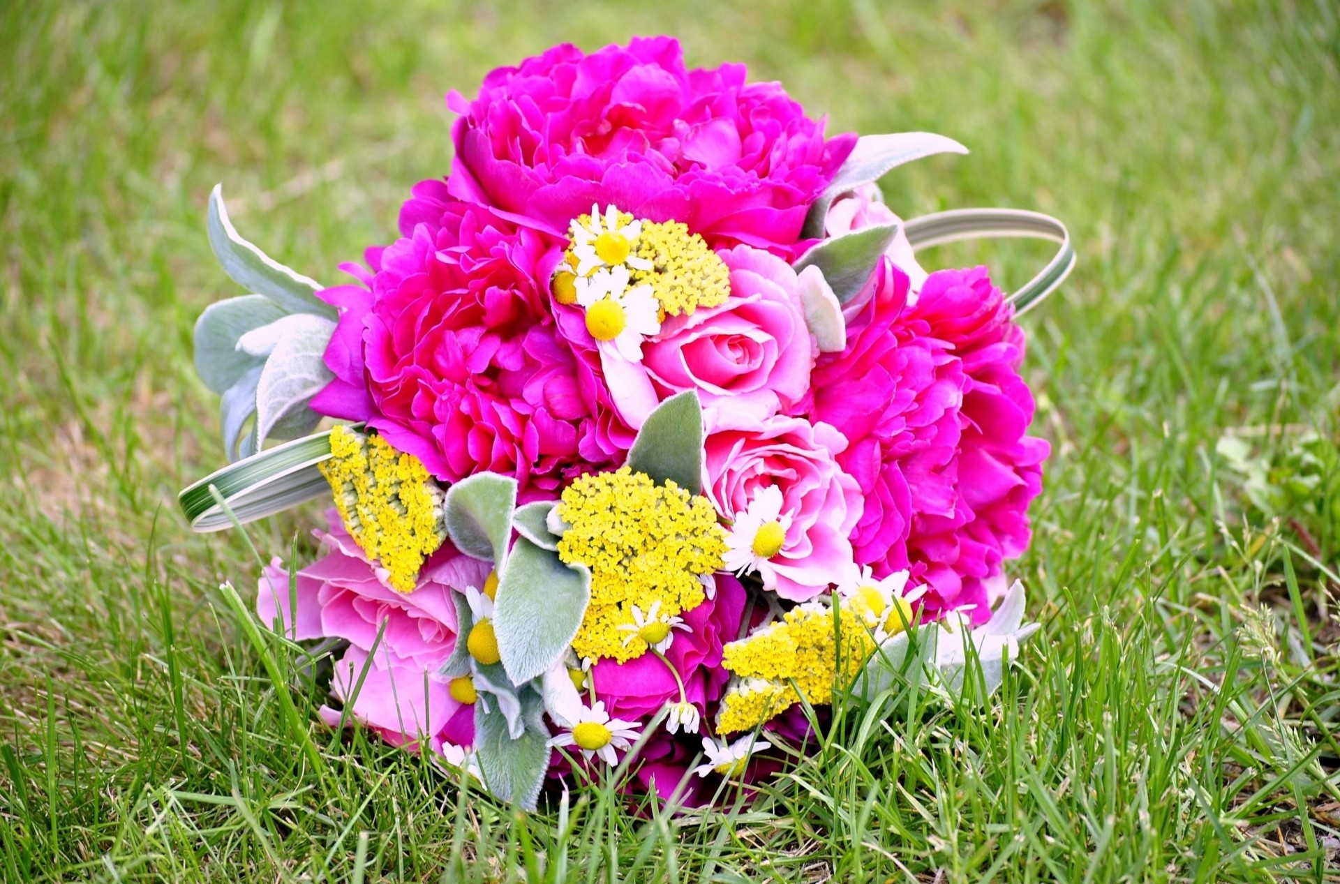 pivoines roses marguerites bouquet herbe fleurs