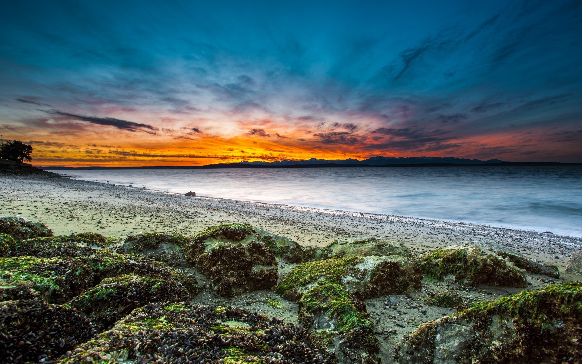 coucher de soleil paysage nuages mer usa plage nature côte horizon océan côte roches roches washington algues seattle