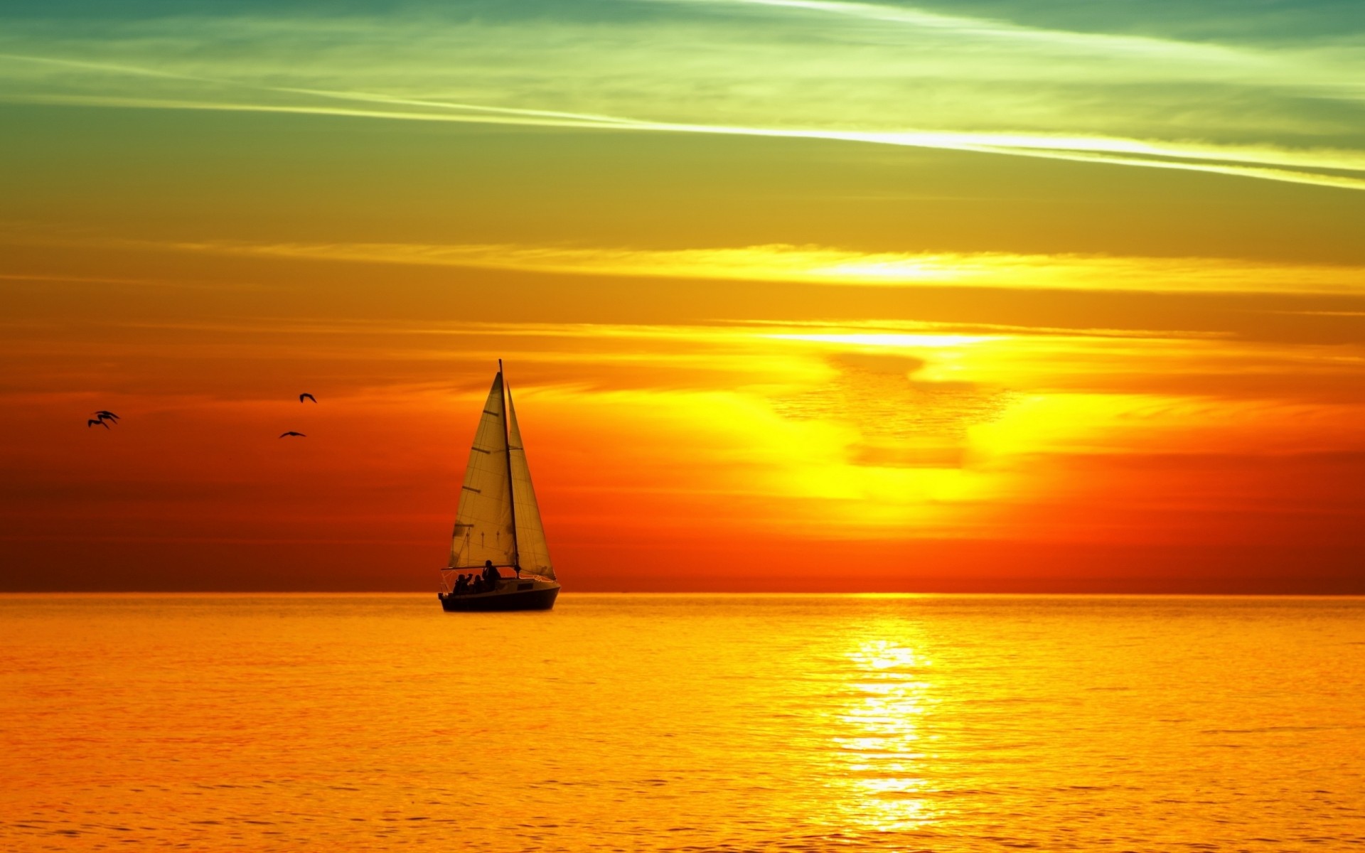 orange sunset moonlight sun sky sea sailboats horizon bird