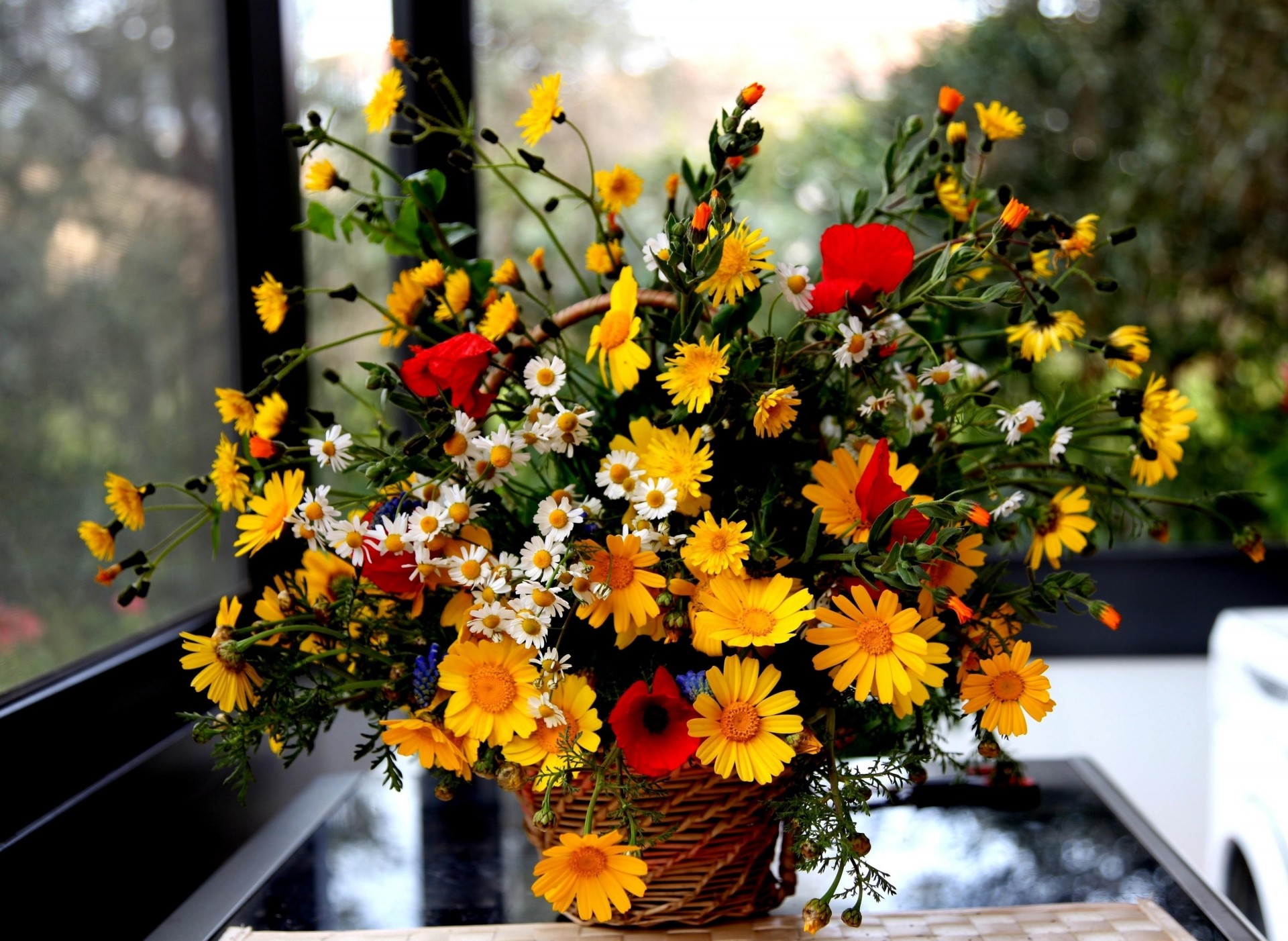 gänseblümchen blumenstrauß mohnblumen einkaufen blumen