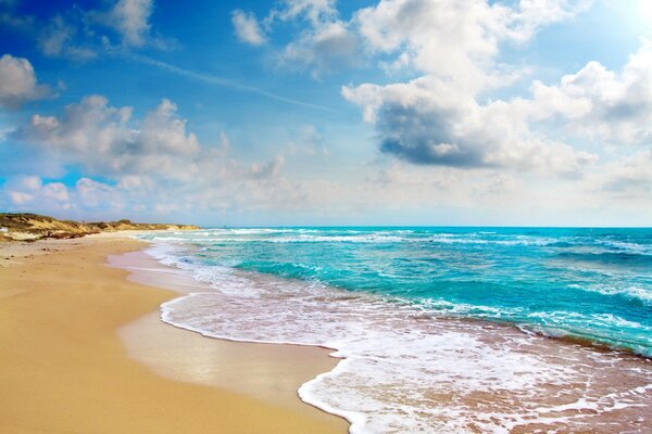 Tropical beach and blue ocean