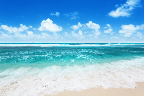 Spiaggia solitaria con bella onda