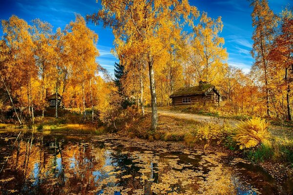 Casa en la orilla del estanque decora el otoño dorado