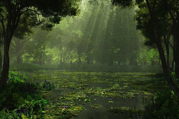 An overgrown lake in a gloomy forest