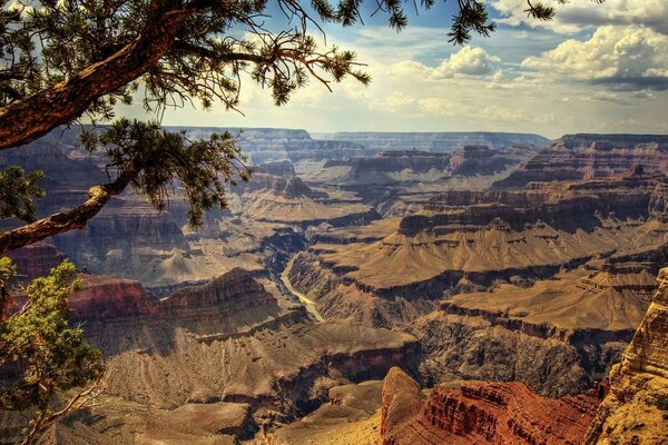 Canyon Yong Natura krajobraz