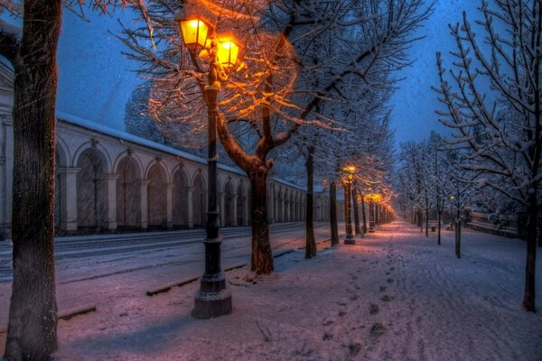 Ein abendlicher Winterpark mit einem Pfad entlang der Laternen