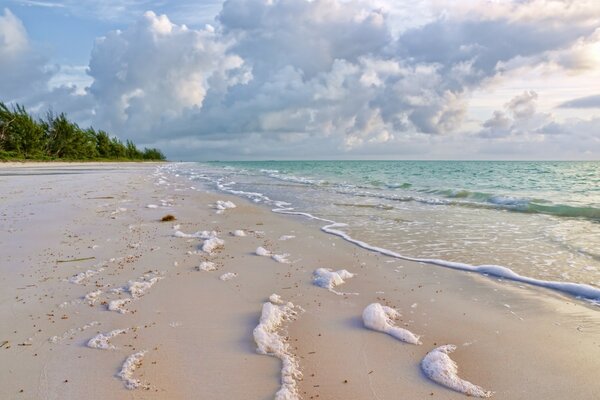 The sea coast is flooded with foam