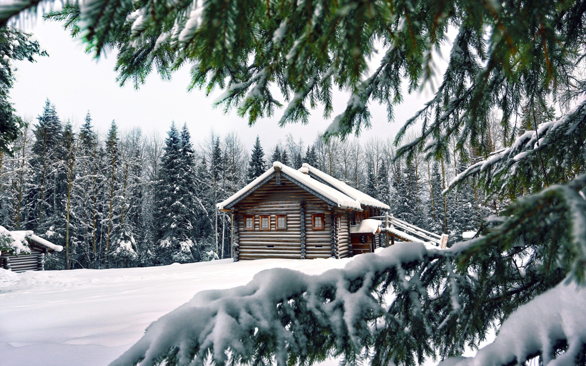 arbre de noël paysage arbres forêt maison bâtiment neige hiver