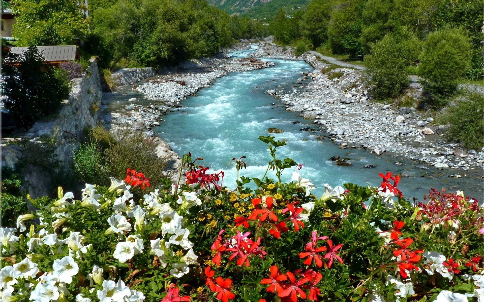 fluss blumen bett kanal