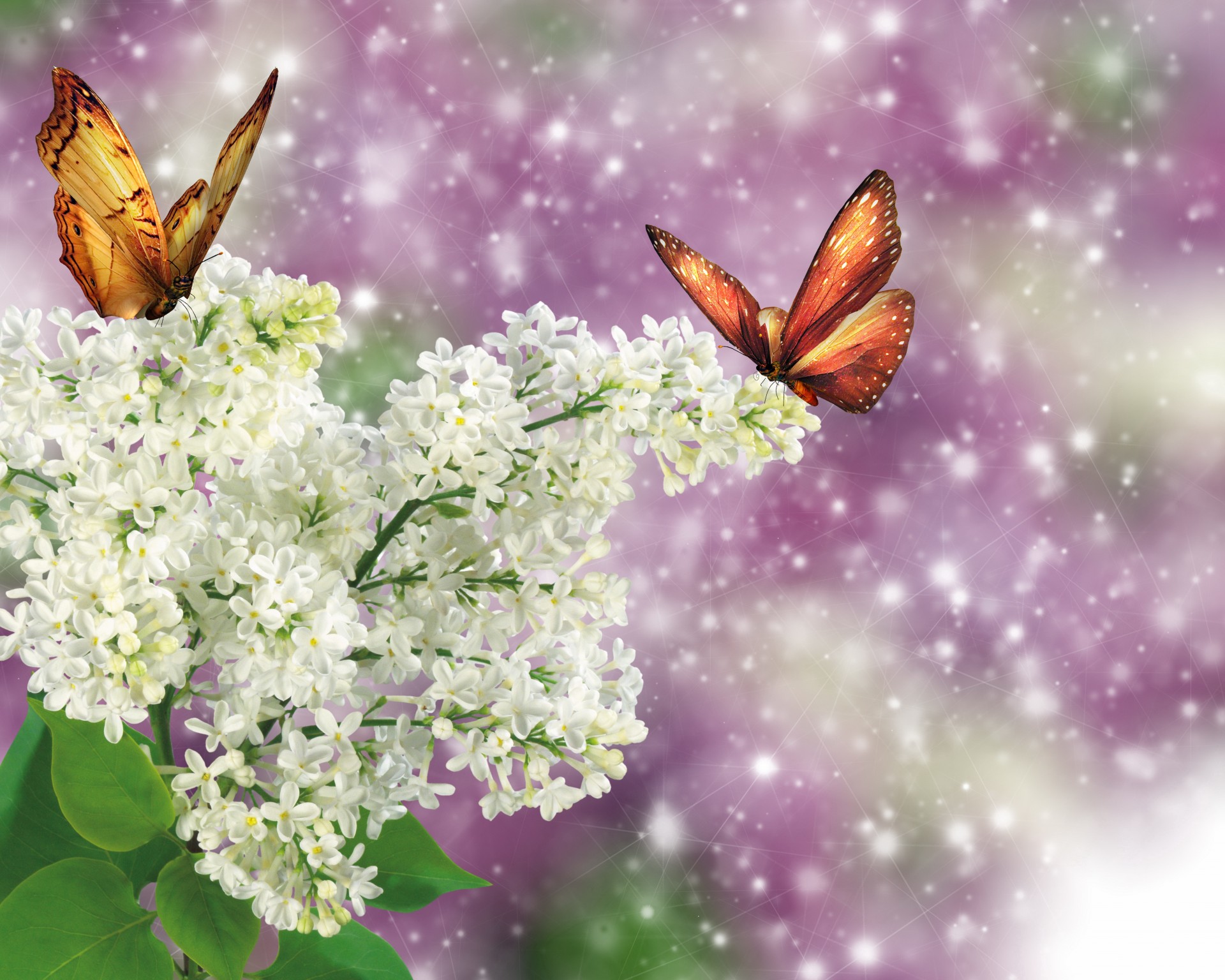 nature butterfly lilac photoshop fantasy spring