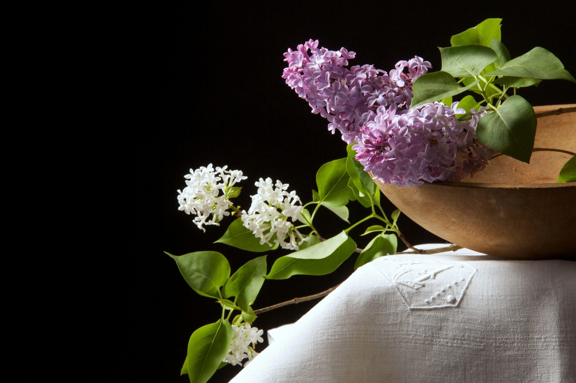 honey black background lilac white tablecloth