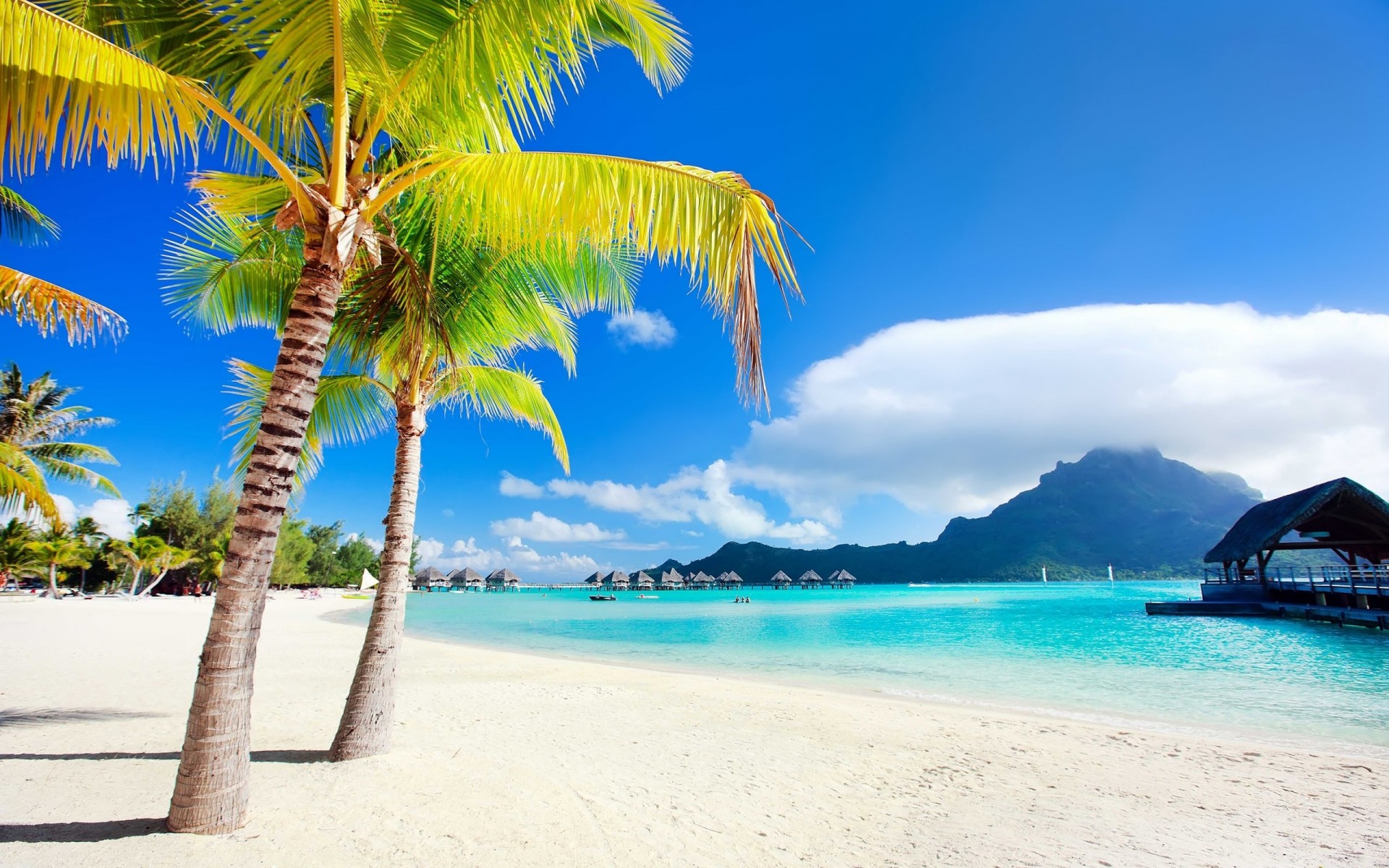 bora bora palmen wolken wasser himmel sand