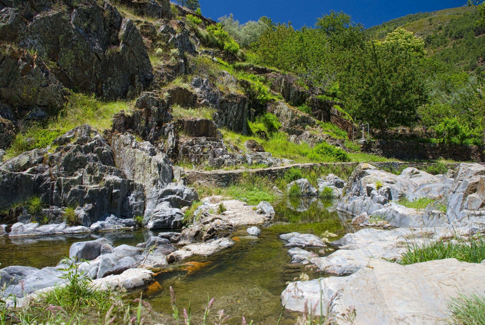 fluss berge felsen natur