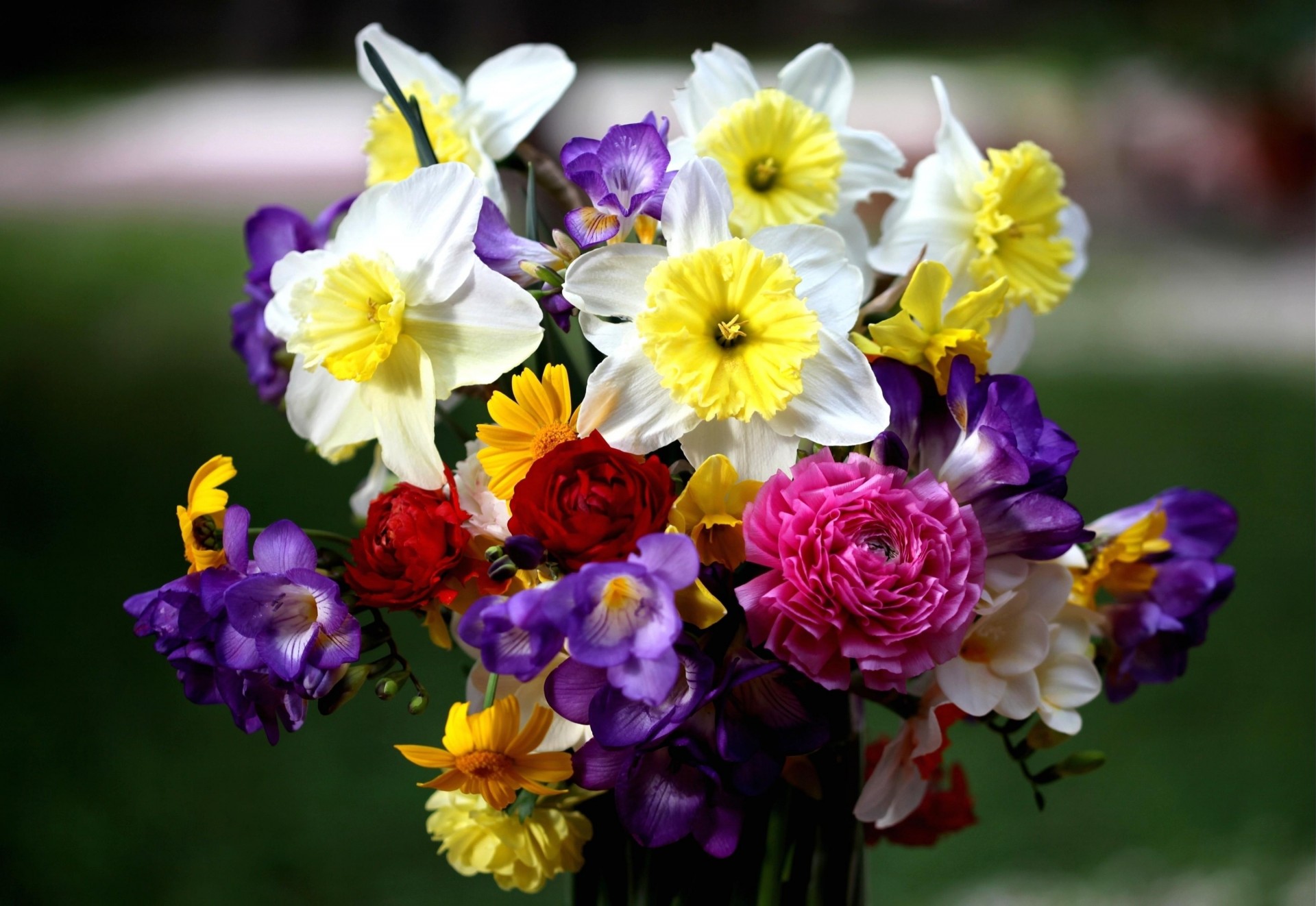 bouquet narcisi fiori rose fresia