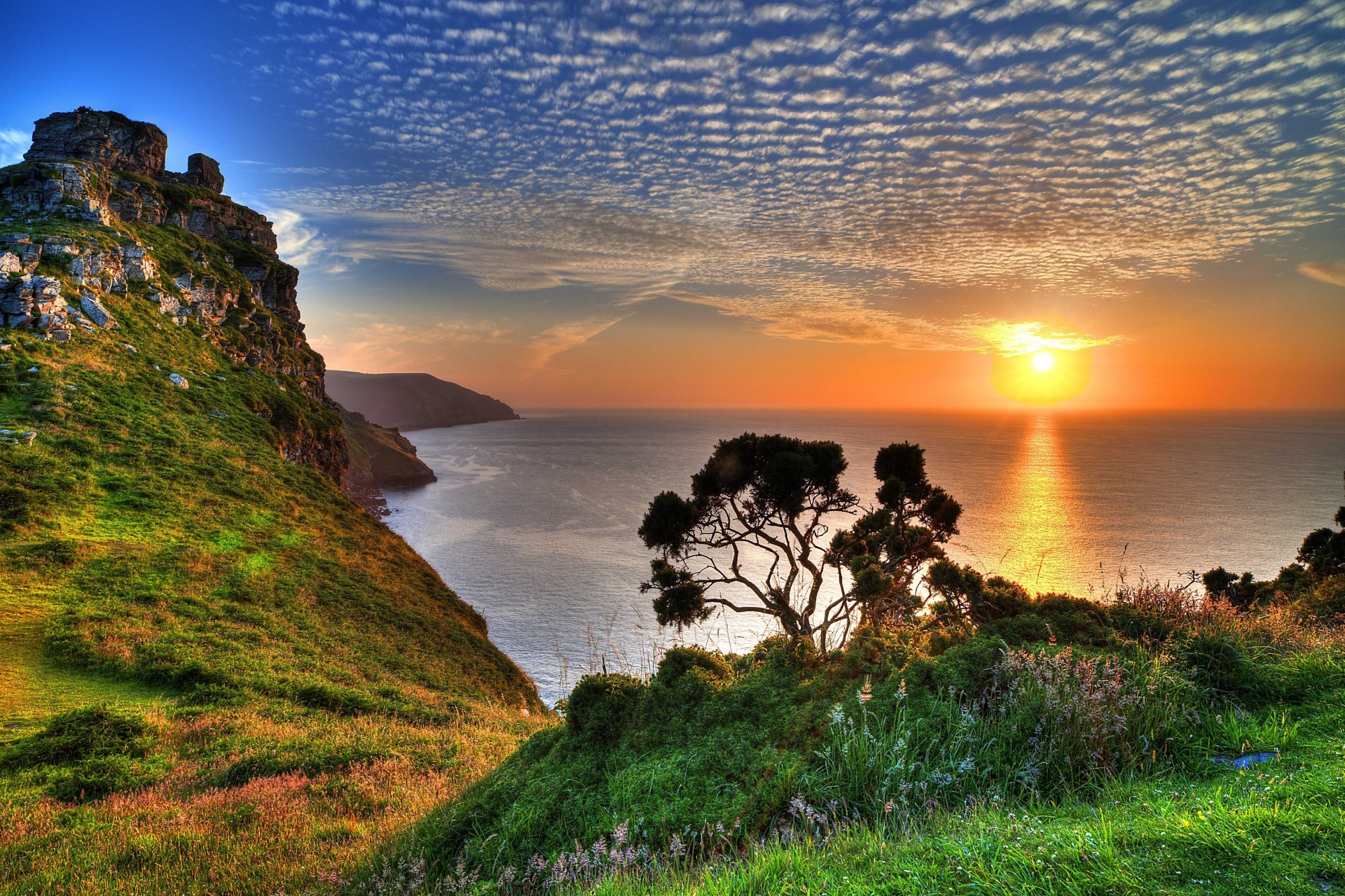 paysage coucher de soleil arbre côte exmoor mer royaume-uni roches