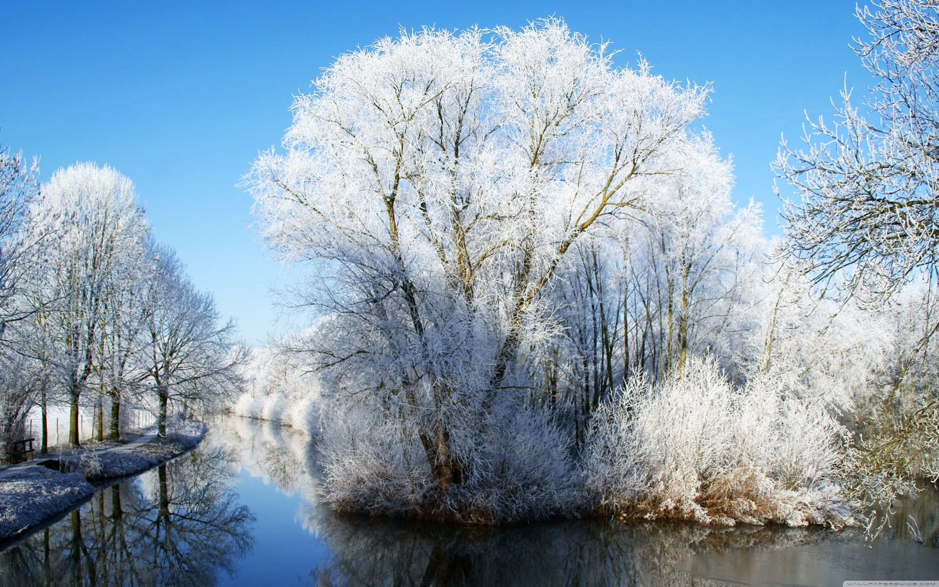 scena błękitne niebo mrożone śnieg rzeka natura krajobraz odbicie palmy niebieski piękny fotografia słońce biały zima krajobrazy mróz niesamowite winter wonderland piękno raj na ziemi holandia holandia cichy utrecht refleksje wieża