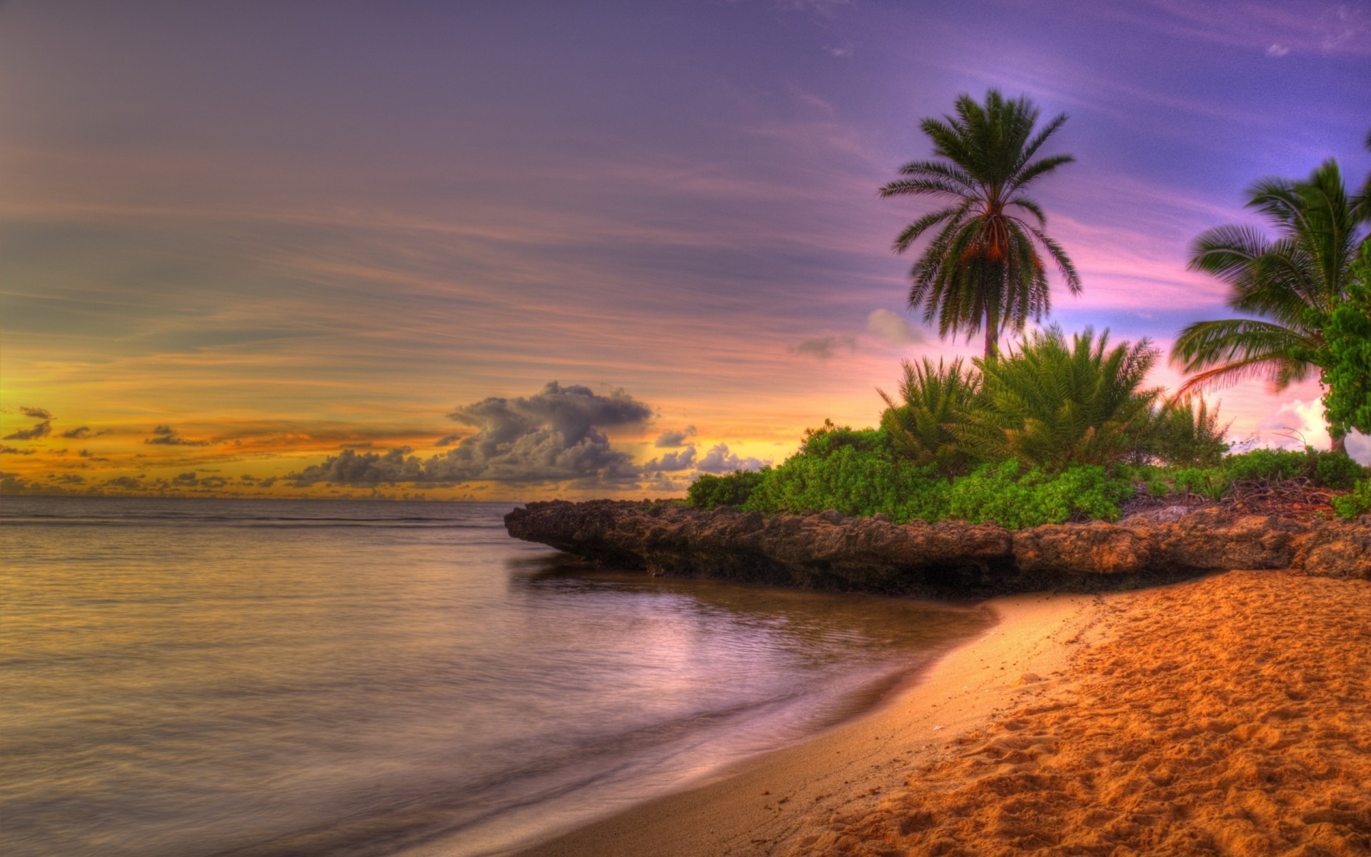 spiaggia palme tramonto cielo tropici riva nuvole sabbia orizzonte