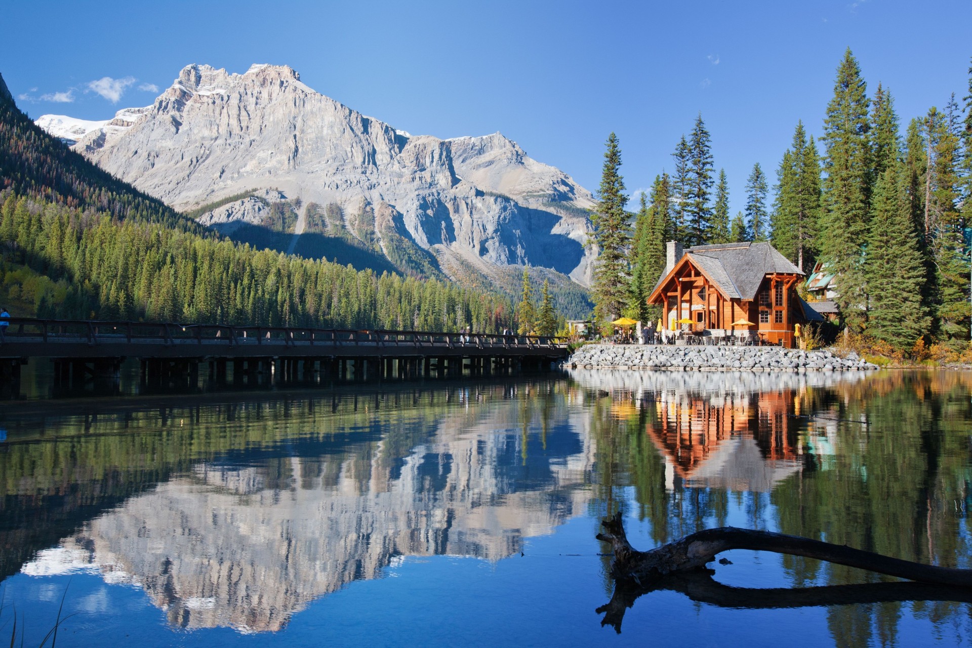 canadian rockies canadian rockies reflection lake bridge canada mountains british columbia tree