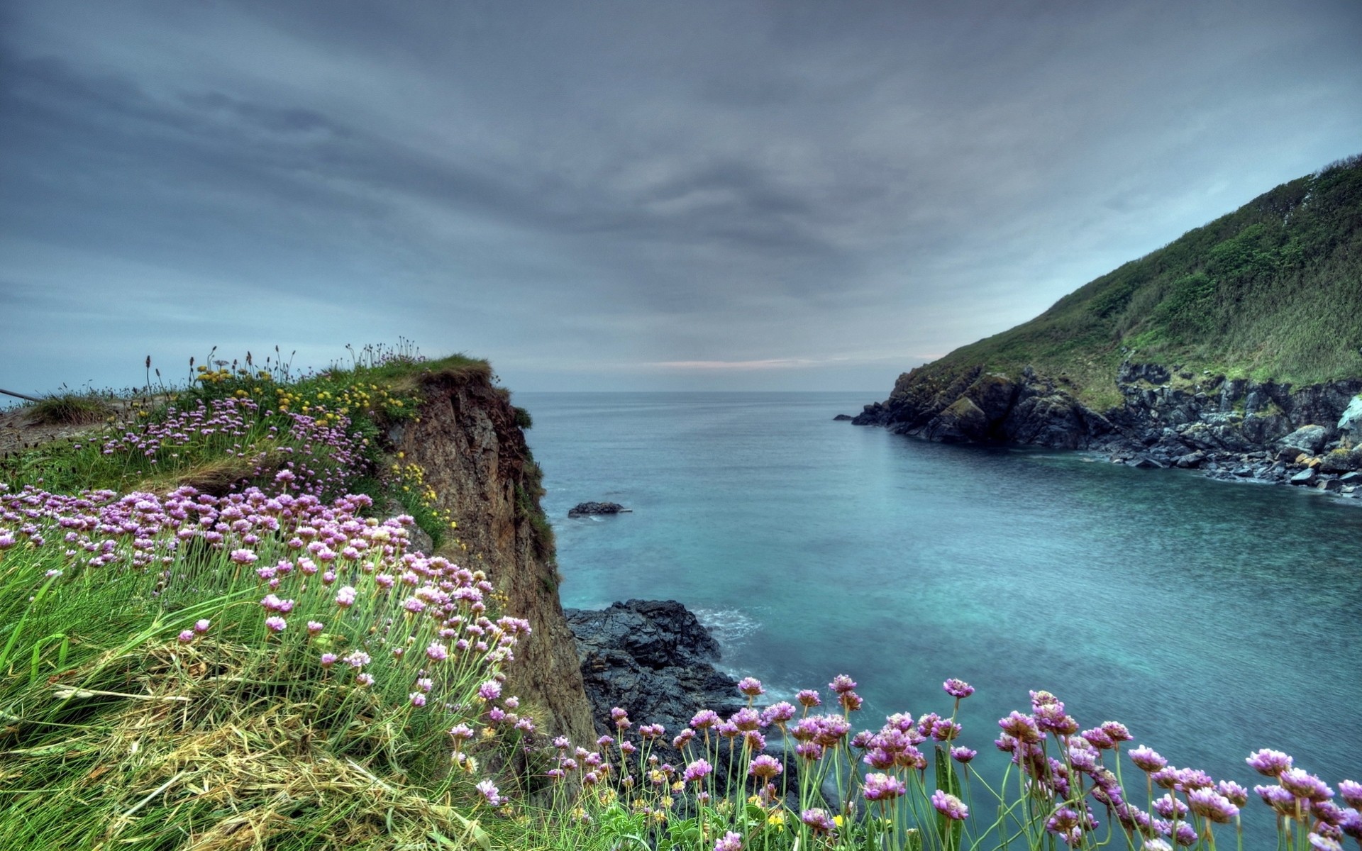 costa estate fiori mare paesaggio orizzonte rocce