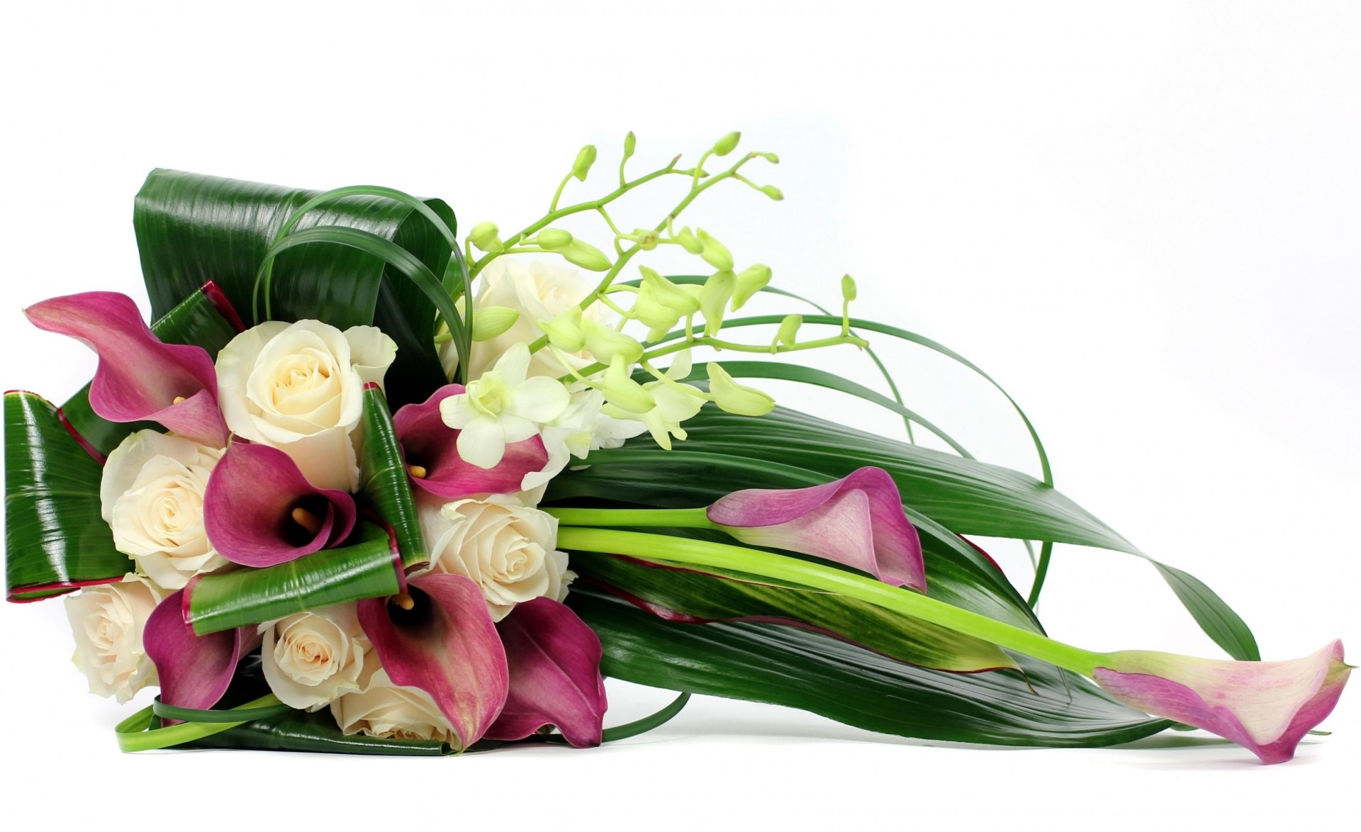 feuille rose bouquet calla fond blanc freesia