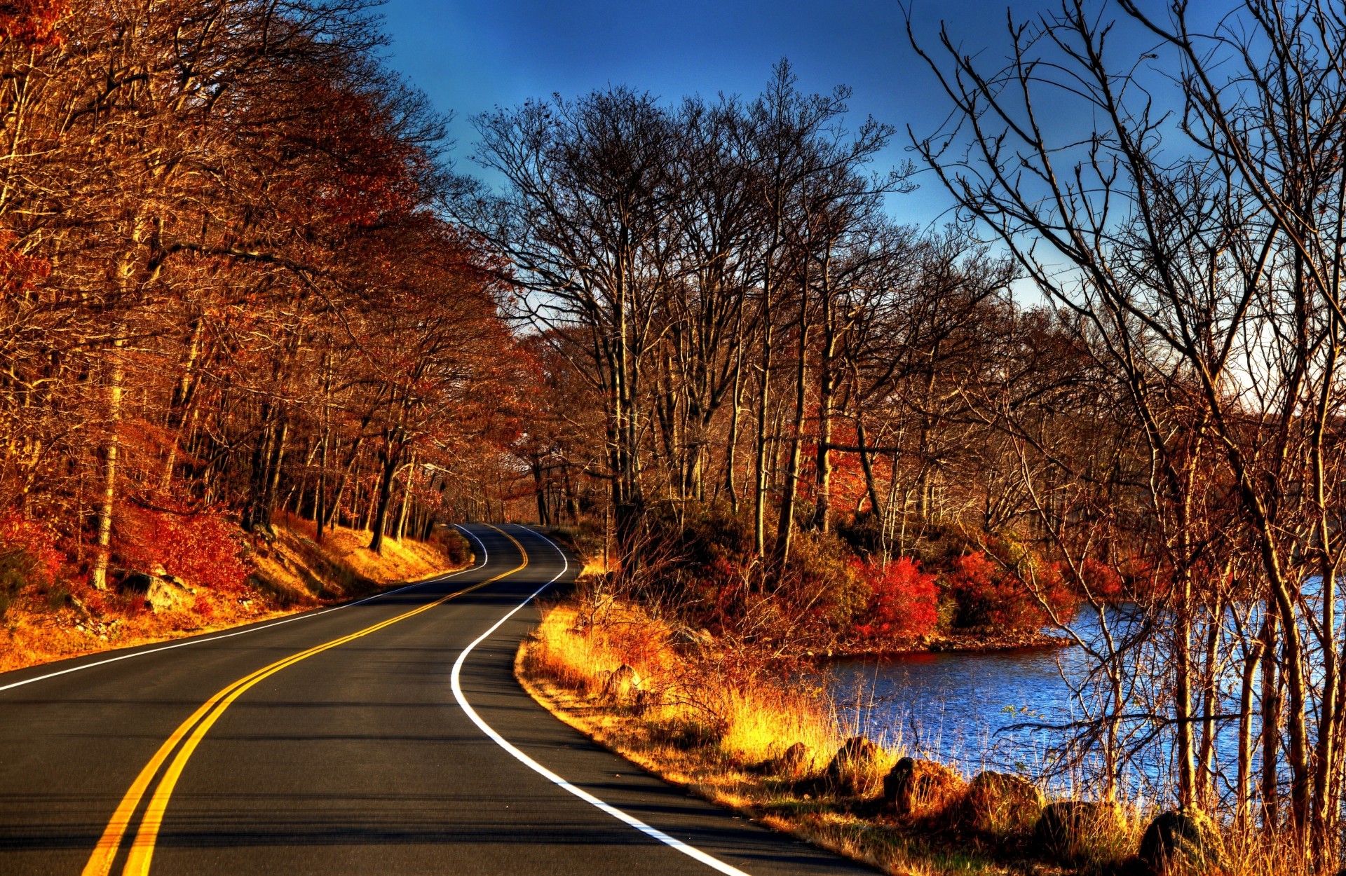 foglia vista fiume strada passeggiata natura foresta palme acqua autunno alberi