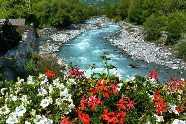 Mit Blumen übersät das Ufer eines Gebirgsflusses, der durch das Dorf fließt