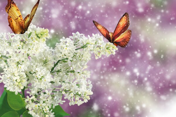 Papillons mignons sur une branche de lilas